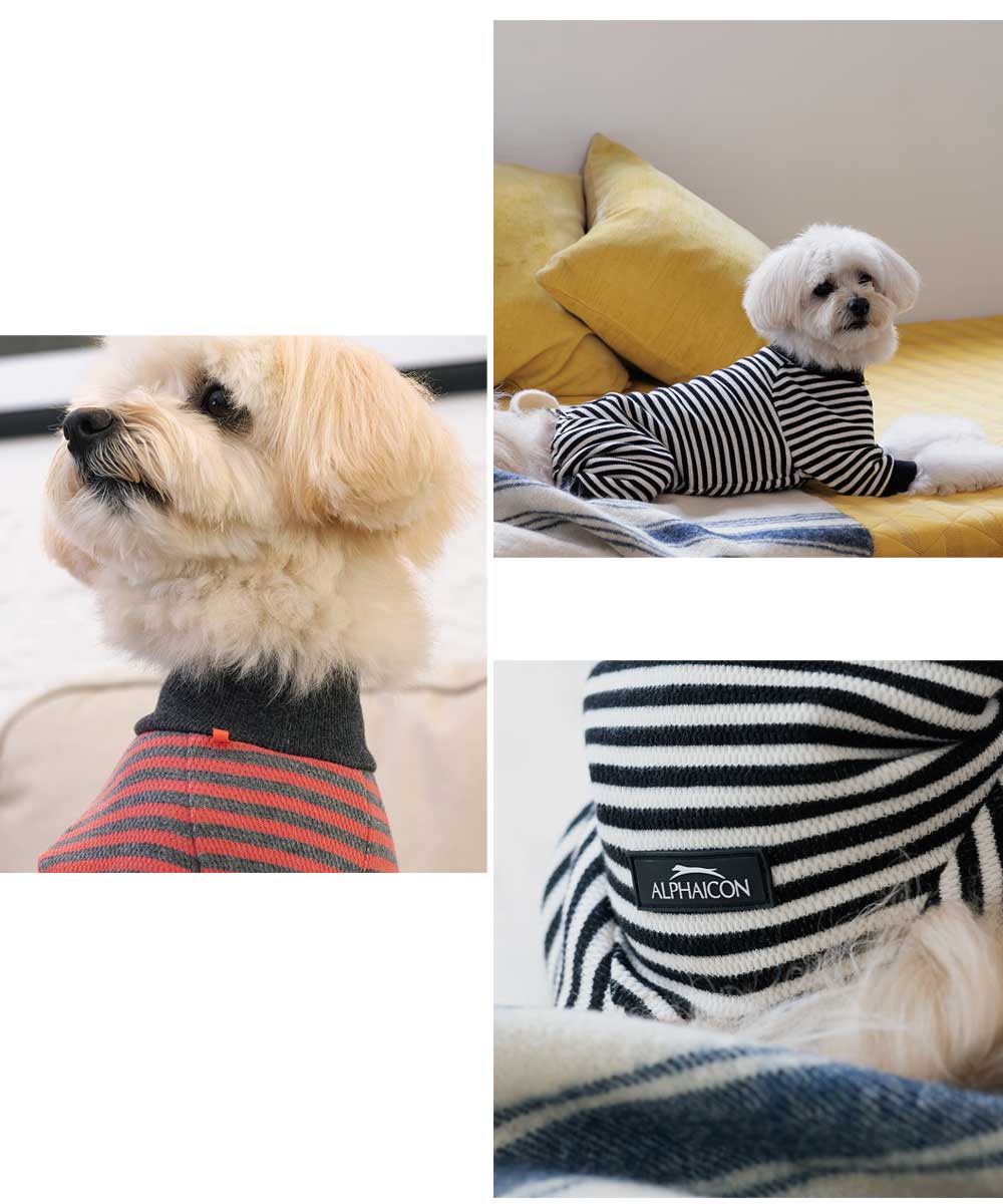 楽天市場】ALPHAICON アルファアイコン ドッグウェア おパジャマ ML