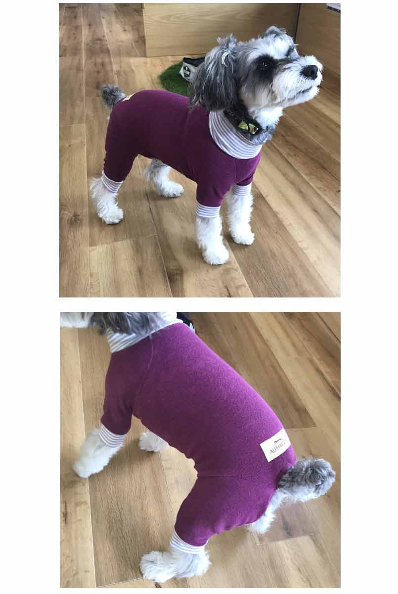 楽天市場】ALPHAICON アルファアイコン ドッグウェア MLサイズ＜お