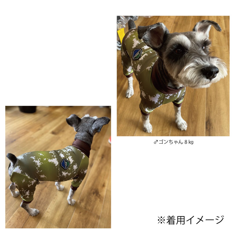 楽天市場】ALPHAICON アルファアイコン フルドッグガード SMサイズ 高