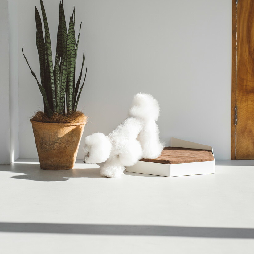 楽天市場】pecolo Pet Bed ペットベッド : フリーステッチ