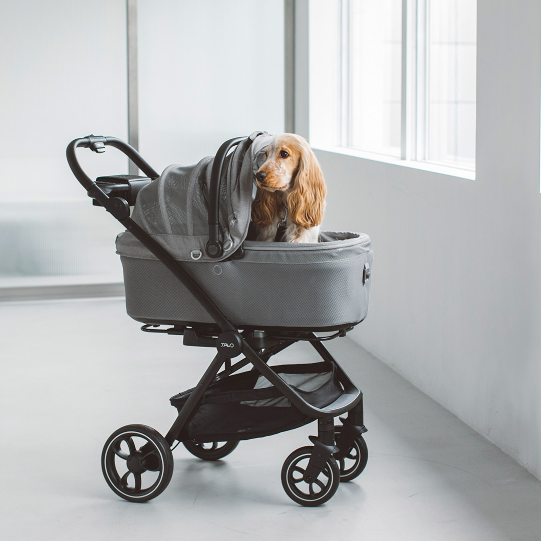 楽天市場】【犬 カート】TAVO Maeve メイブ ＋ Roscoe ロスコー ＋