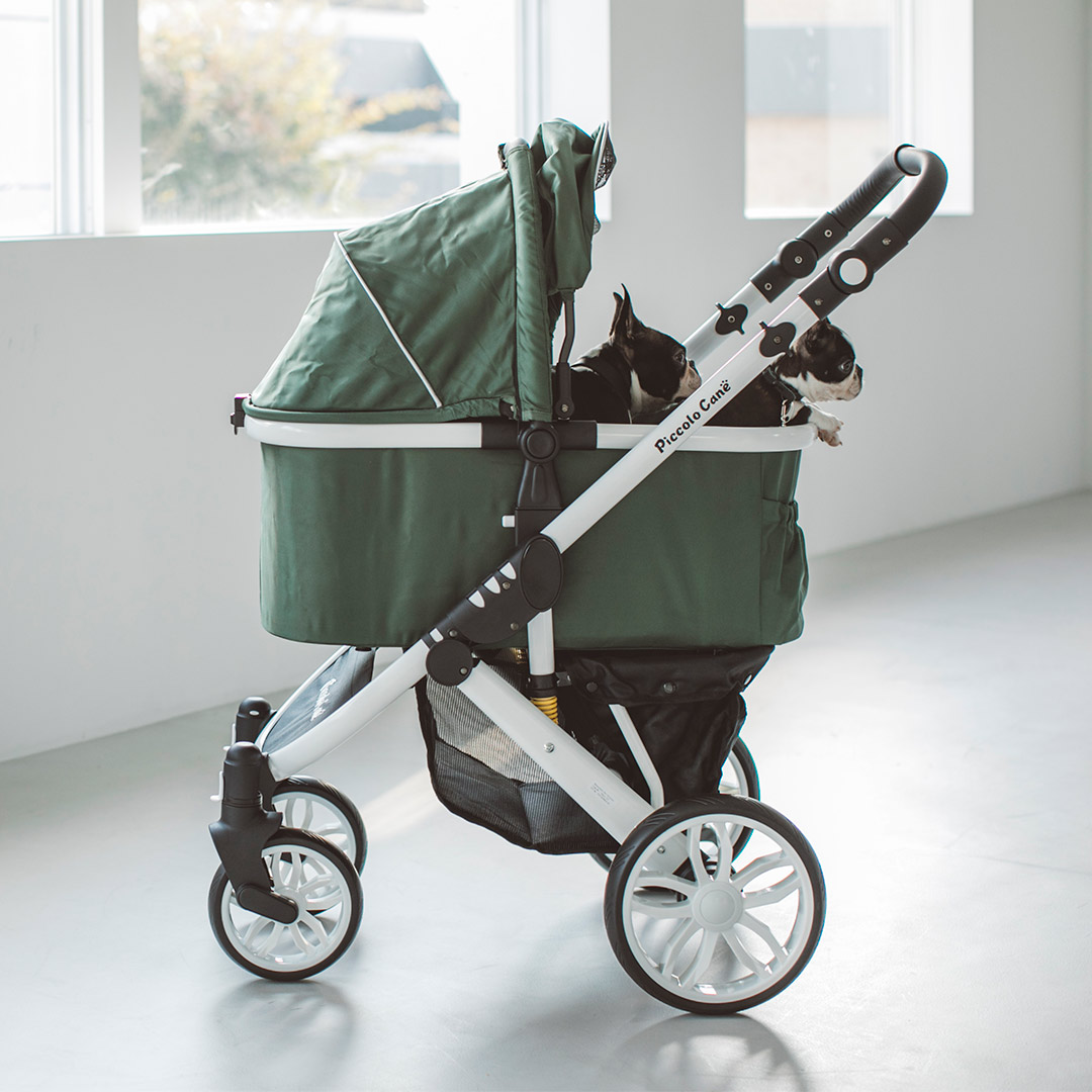 タントスリー Piccolo Cane TANTO3 シャンパンゴールド 【公式通販】