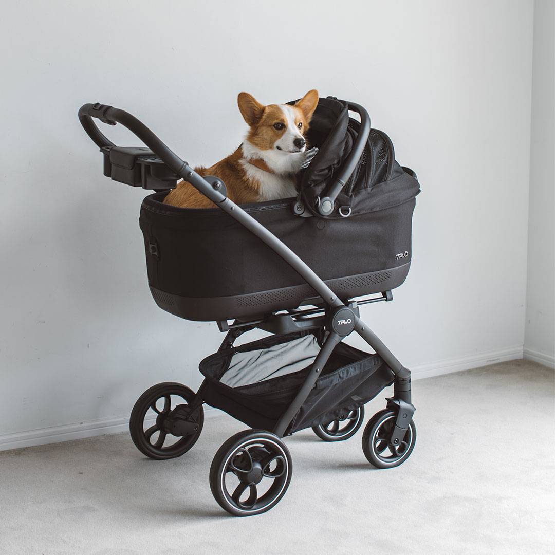 楽天市場】【犬 カート】TAVO Maeve メイブ iso ＋ Roscoe ロスコー