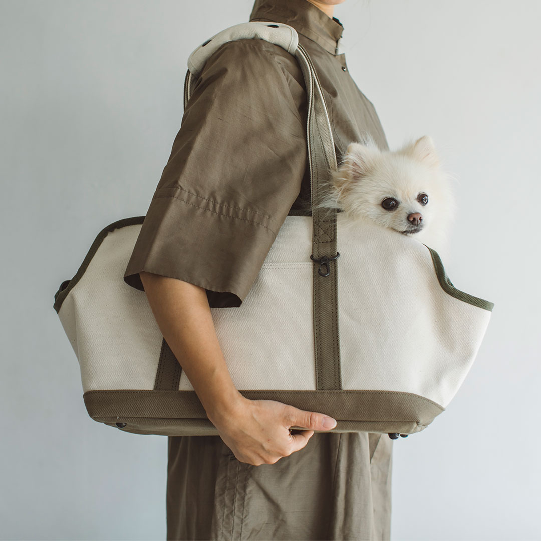 楽天市場】犬 猫 キャリーケース キャリーバッグ キャリー トート