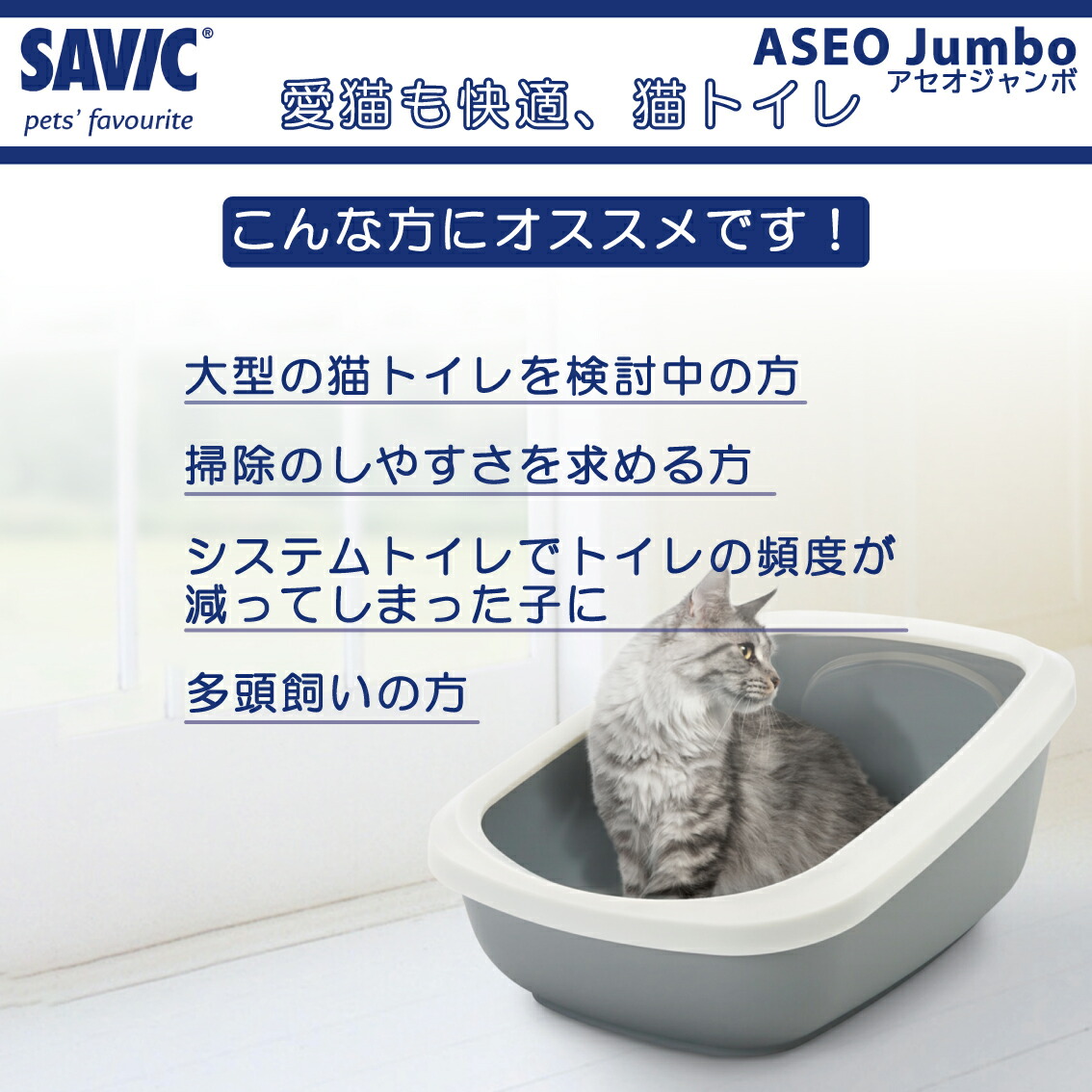 楽天市場】猫トイレ 大型 大きめ おすすめ しつけ 洗いやすい シンプル