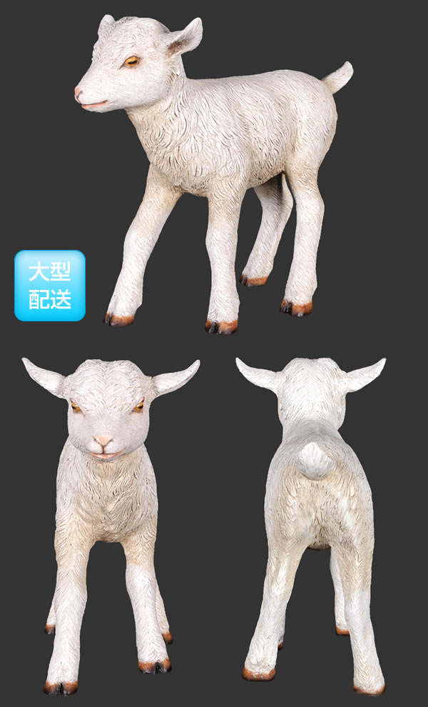 2000年 ヤギさん(羊)の5ドル白銅貨 リベリア 2000年 ヤギさん(羊)の5