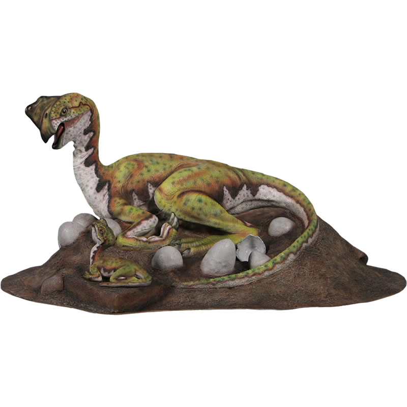 楽天市場】FRP恐竜オブジェ オヴィラプトル置物 中生代白亜紀後期 小型