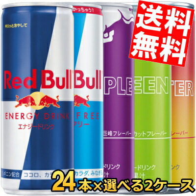 レッドブル レッドブル シュガーフリー 250ml×48本 缶 (炭酸飲料
