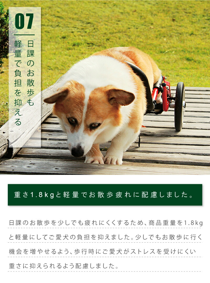 楽天市場】コーギー犬車椅子 軽量 折り畳み ペット 車椅子 お散歩 犬用