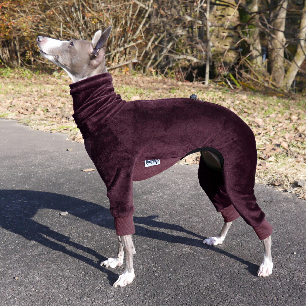 トレーナー生地ロンパースMサイズイタグレ服