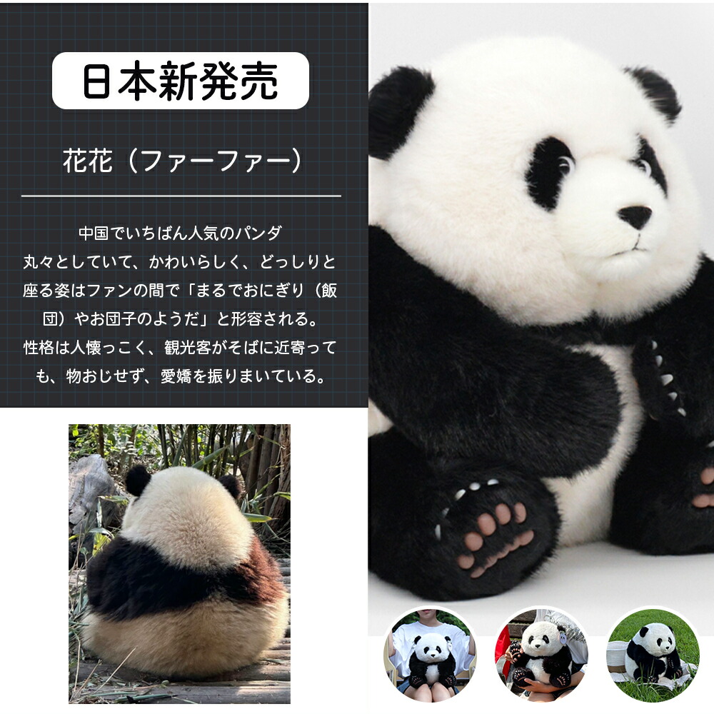 楽天市場】【ギフト対応無料】ぬいぐるみ パンダ 和花 花花 七仔