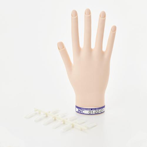 JNEC ネイル検定 認定モデルハンド JNEC認定モデルハンド｜公益財団