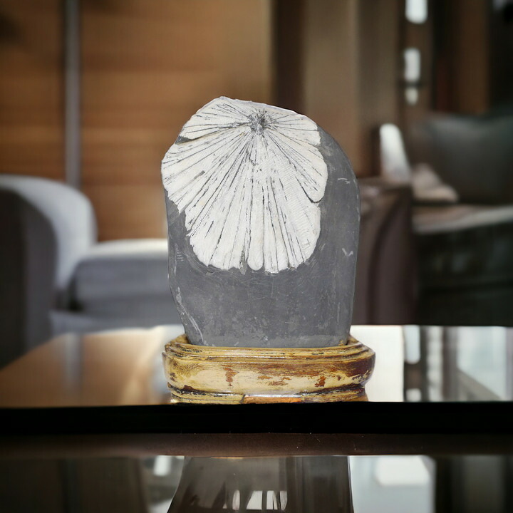 菊花石 オブジェ」の人気商品一覧 | 安い商品を通販サイトから探す