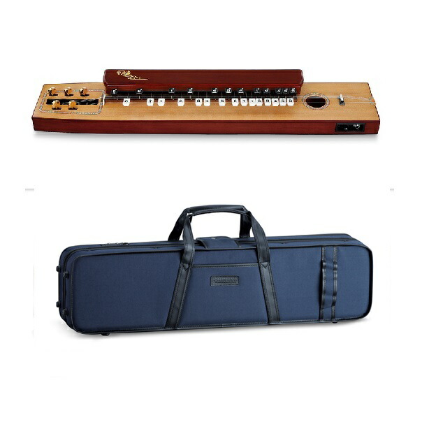 楽天市場】スズキ 電気大正琴 桂 TAS-11 ピック 調子笛 予備絃 クロス