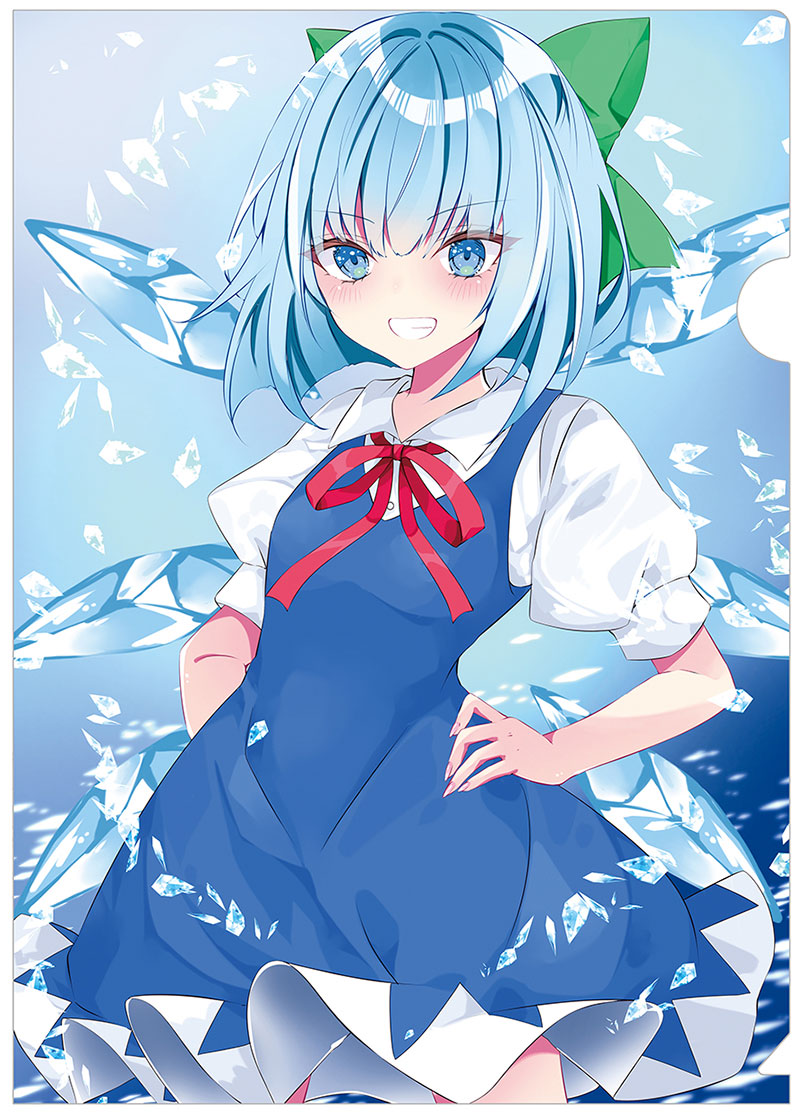 東方project チルノ だいちゃん 水着 美少女 クリアファイル VY52