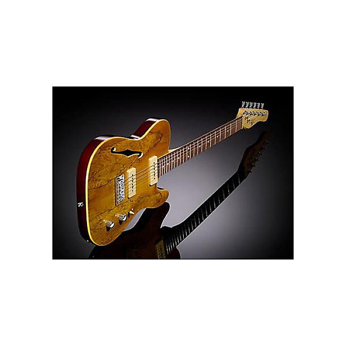 楽天市場】Michael Kelly Guitars ( マイケルケリーギターズ ) / Ele