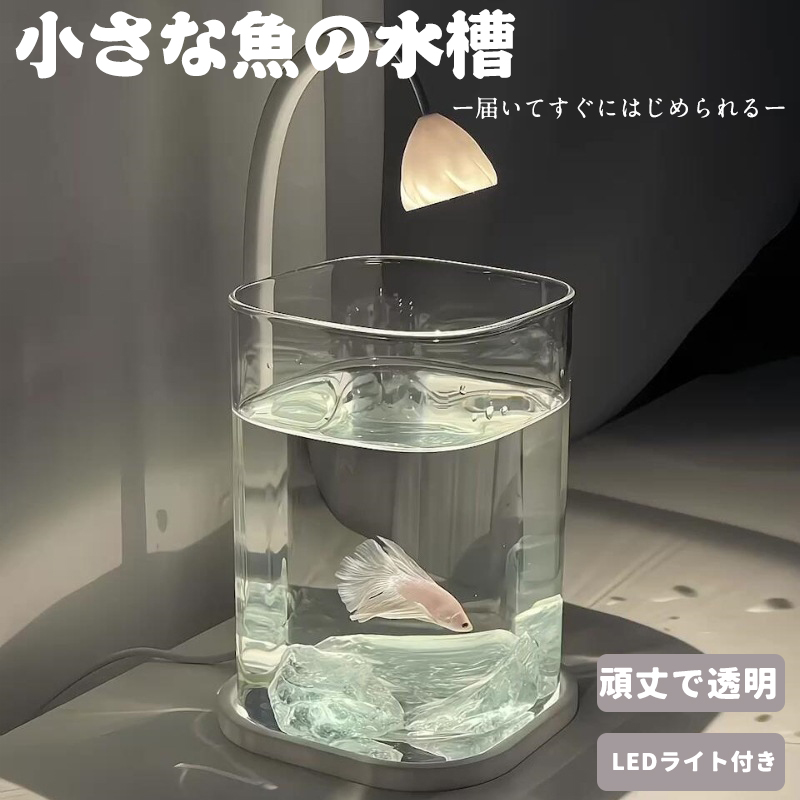 楽天市場】水槽セット 金魚鉢 金魚 飼育 アクアリウム 容器 透明