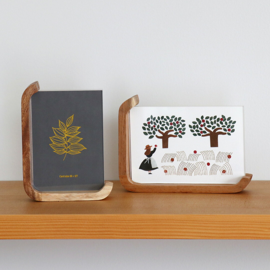 ロブスター標本 木製フレーム付き ロブスター標本 木製フレーム付き