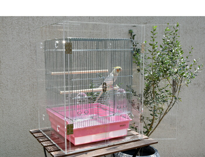 楽天市場】【プレミアム】W595×H595×D545 アクリル バードケージ