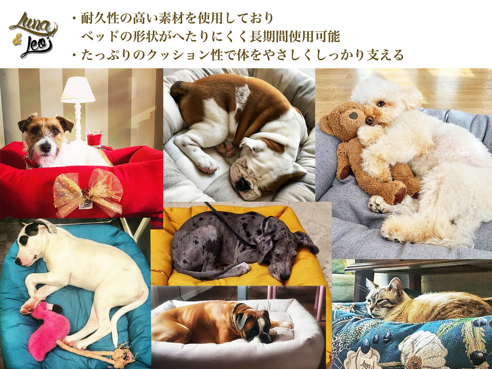 楽天市場】犬用ベッド 【レオエルナ シッタコレクション】Sサイズ 10