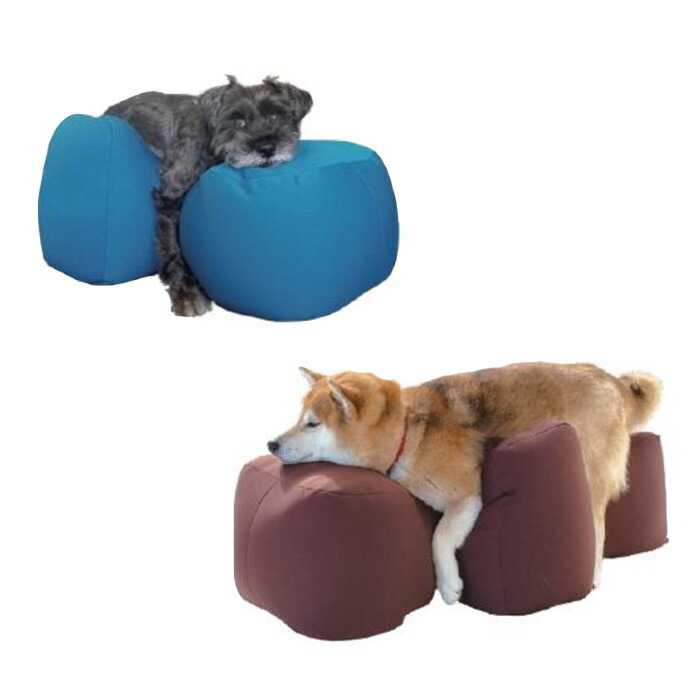 楽天市場】アロン化成 リラクッション M ブラウン 5191987 姿勢