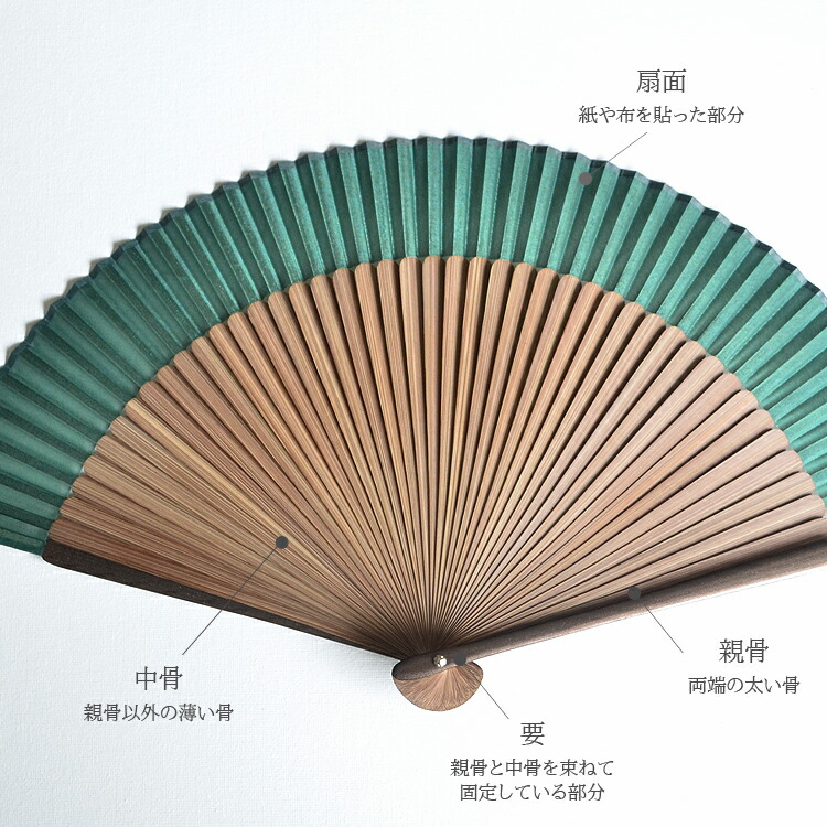 楽天市場】男性用扇子「緑」絹扇子/大短字/唐木骨/親骨メタリック