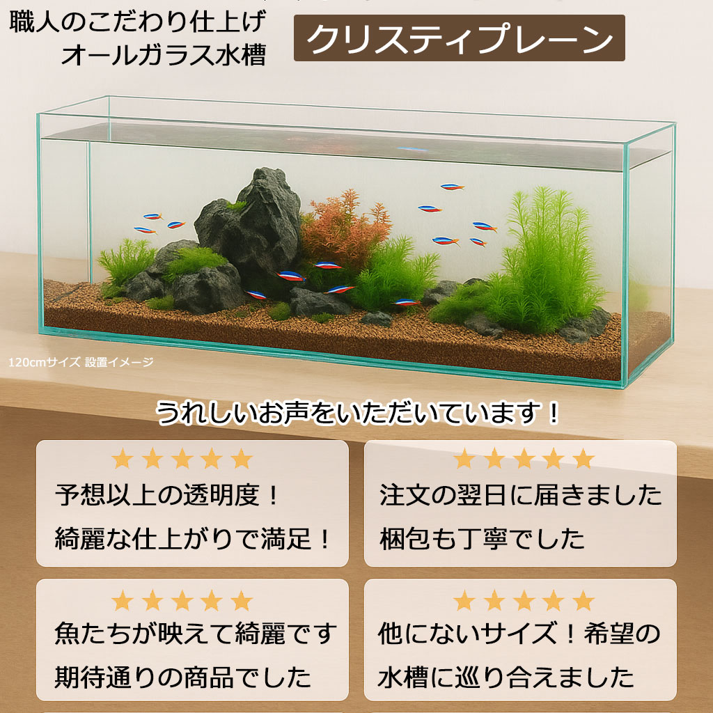 楽天市場】水槽 45cm ガラス水槽【45×30×45cm 56L】クリスティプレーン