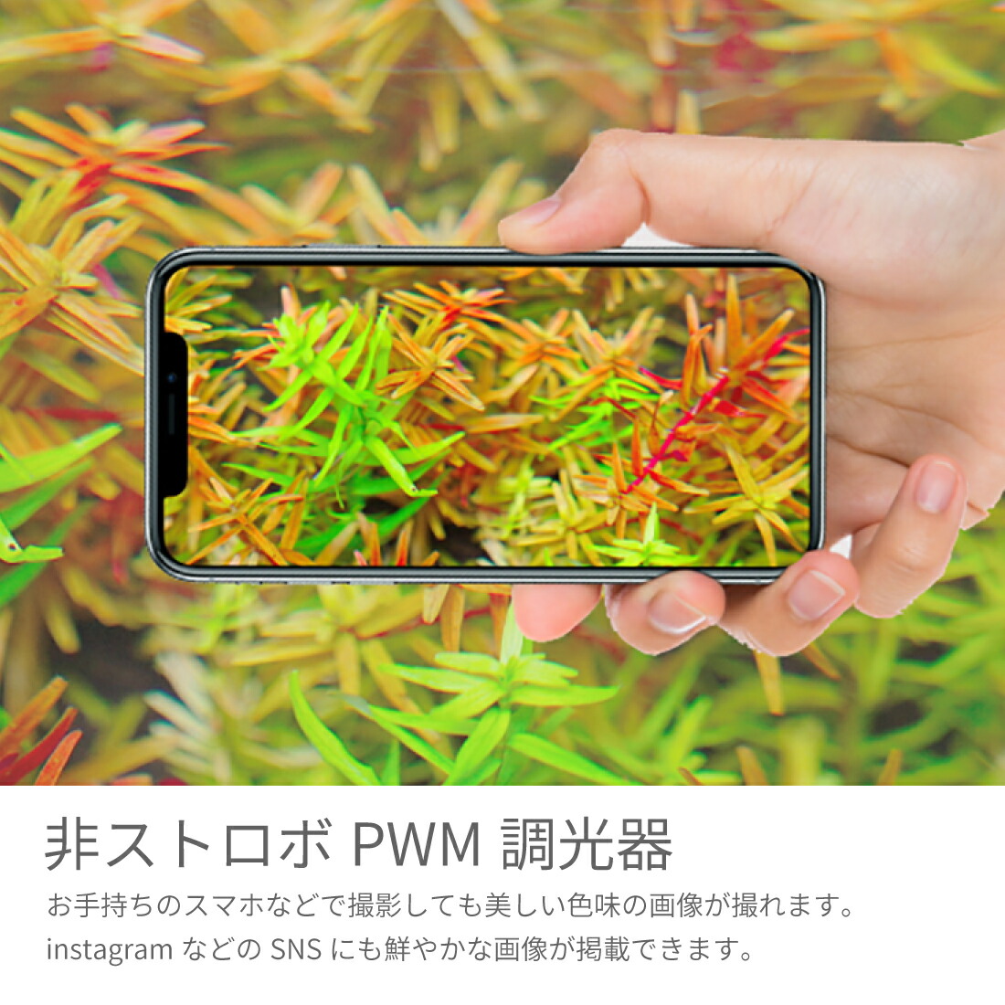 楽天市場】LEDSTAR モデルSPRO AQ-SPRO 水槽 ライト LED RGBW 【PSE