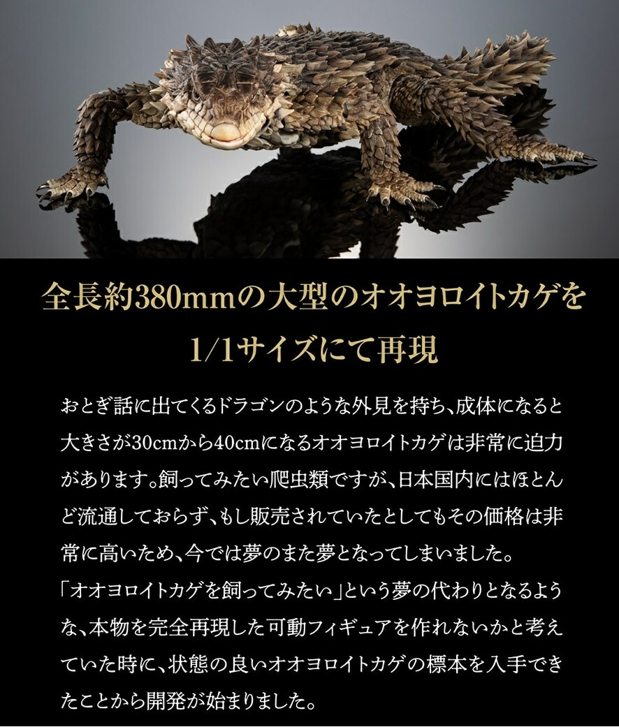 いきもの大図鑑アルティメット 【オオヨロイトカゲ】