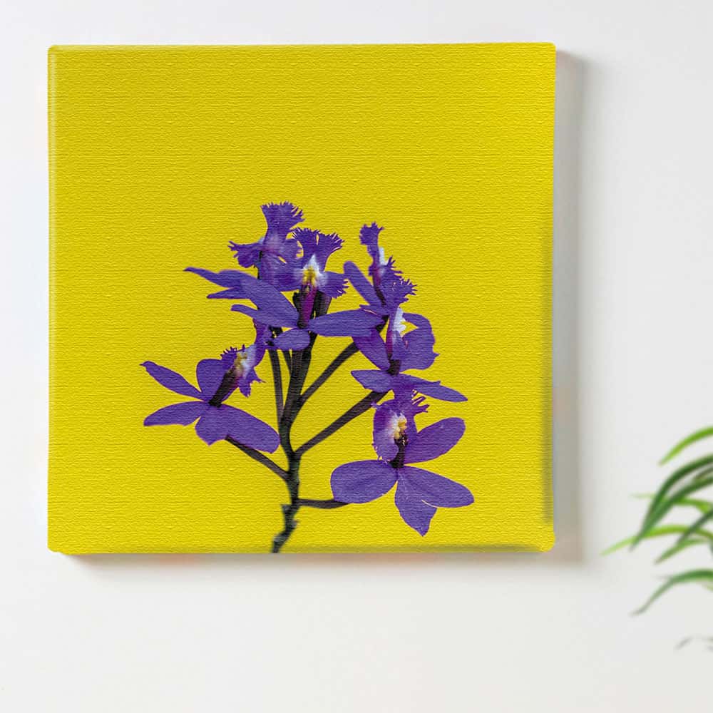 アートデリ 花のファブリックボード poht-2205-06 つ179