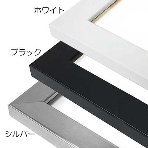 楽天市場】色紙額縁:MRN-K1201（色紙2枚額）ブラック・ホワイト（UV