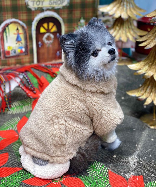 asknowasdewan テディベアポンチョ 3号 アズノウアズデワン アウタ