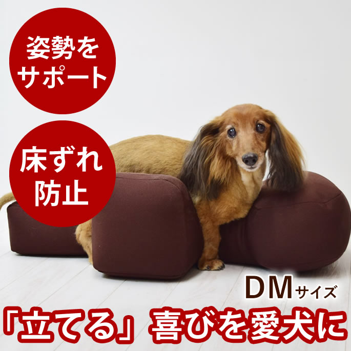 楽天市場】【愛犬用ベッド】 リラクッション DM ブラウン【立位保定