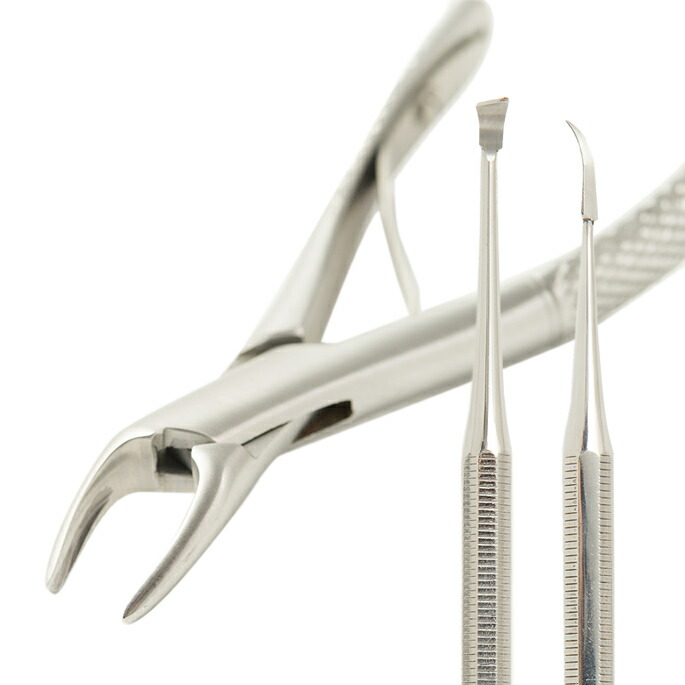 楽天市場】帝塚山ハウンドカム 歯石取りペンチ 犬用 猫用 ステンレス