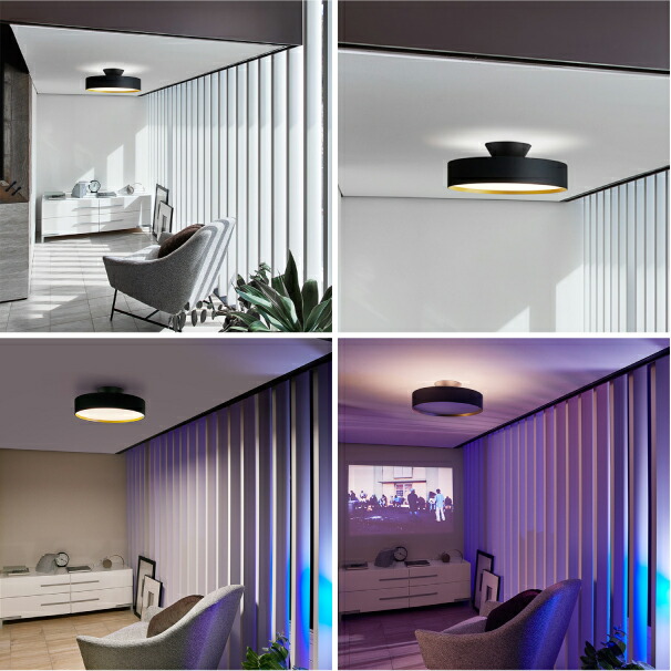 楽天市場】【即納あり】ARTWORK STUDIO Glow 4000 LED-ceiling lamp