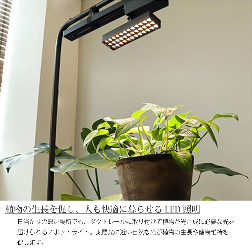 楽天市場】BRID LED SPOT LIGHT for PLANTS 10W 植物育成ライト