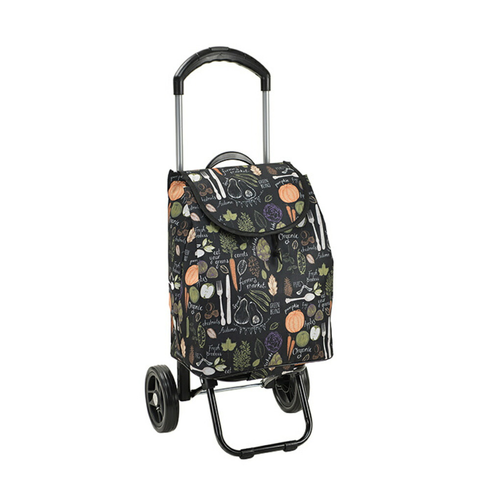 楽天市場】ショッピングカート おしゃれ 通販 2輪 保冷 保温 カート