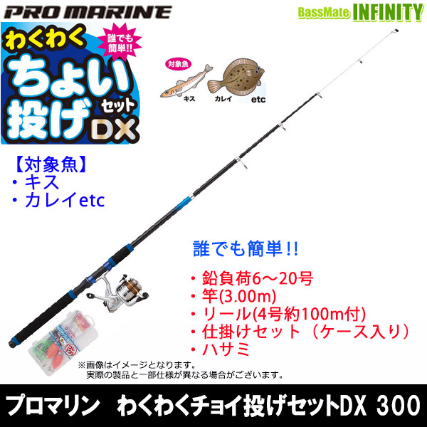 楽天市場】【在庫限定54％OFF】プロマリン わくわく ちょい投げセット