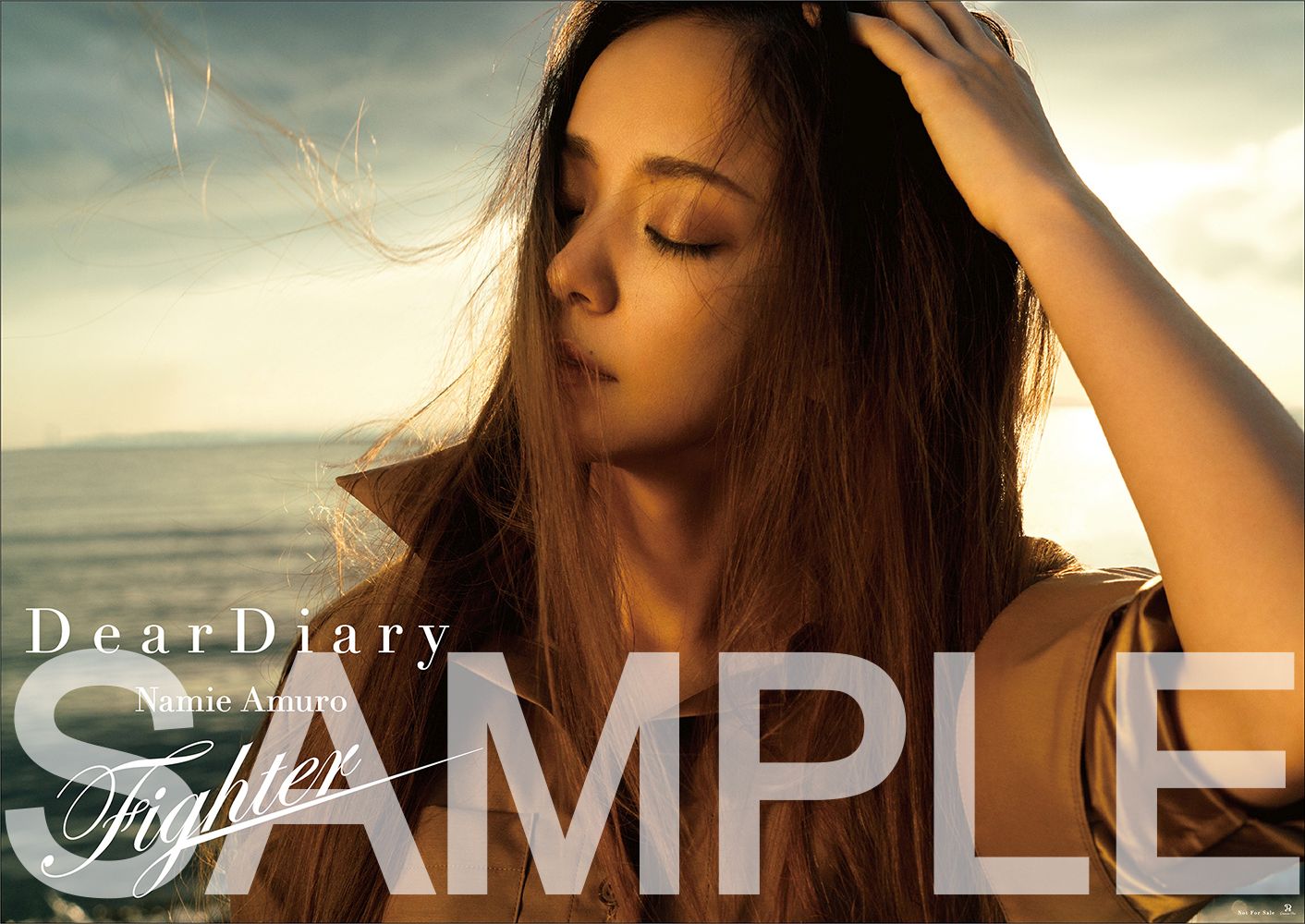 安室奈美恵 Dear Diary / Fighter 先着購入特典 2枚セット