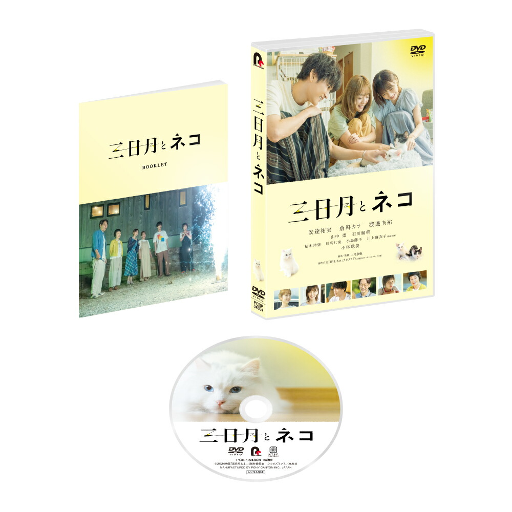 ☆希少☆ 生写真付き 安達祐実 Special DVD-BOX 3枚組 Special Dvd Box