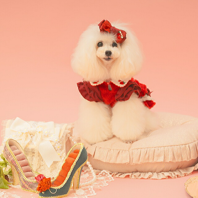 希少】きゃんナナ いちごワンピース ホワイト S+Mサイズ 希少】きゃ