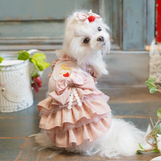楽天市場】犬服 春 レトロいちごタータンチェックワンピース SS-L