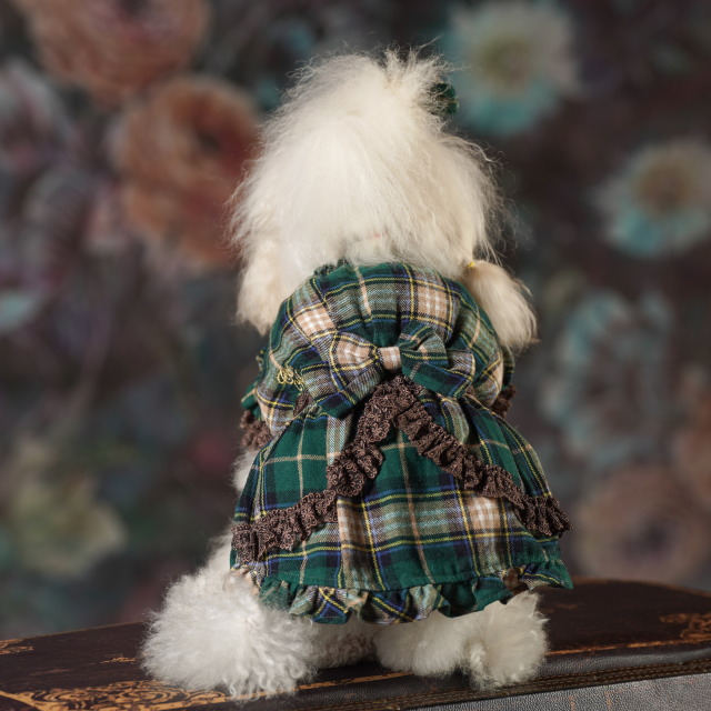 楽天市場】犬服 秋服 きゃんナナ クラシカルチェックワンピース SS-L