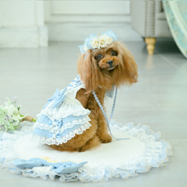 楽天市場】犬服 ワンピース CanNana 【きゃんナナ】アリスエプロン