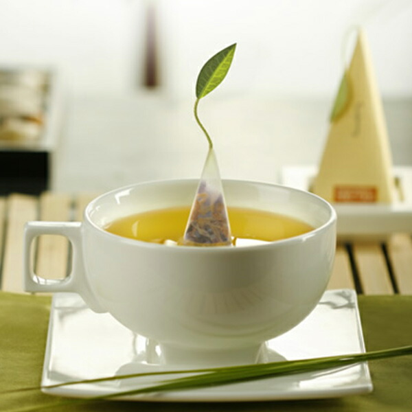 未開封 ティーフォルテ TEA TASTING ダブル 20個入り 紅茶 Tea Forte