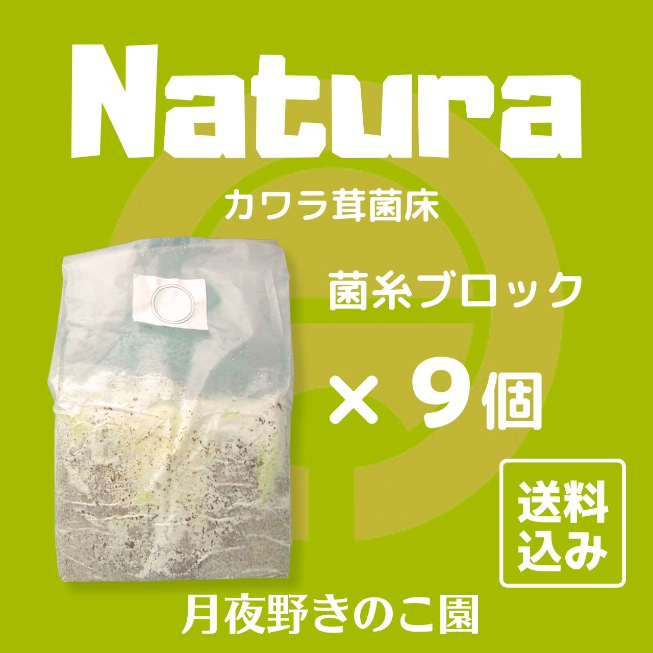 楽天市場】◇N-カワラブロック×9個 上級者向け 菌糸ビン（菌糸瓶