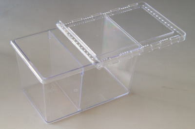 楽天市場】【ラージ】クリアースライダー : クワガタ・カブト専門店