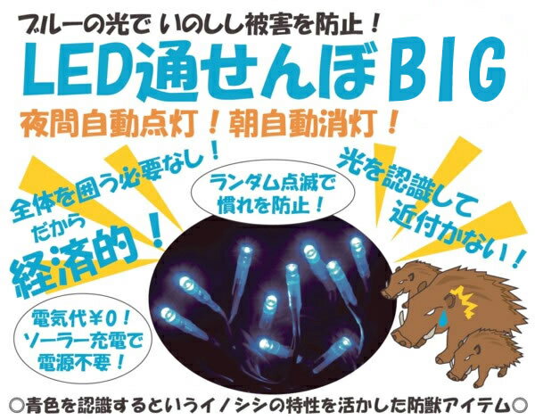 楽天市場】イノシシ対策装置【LED通せんぼBIG】ソーラー充電式 青色LED