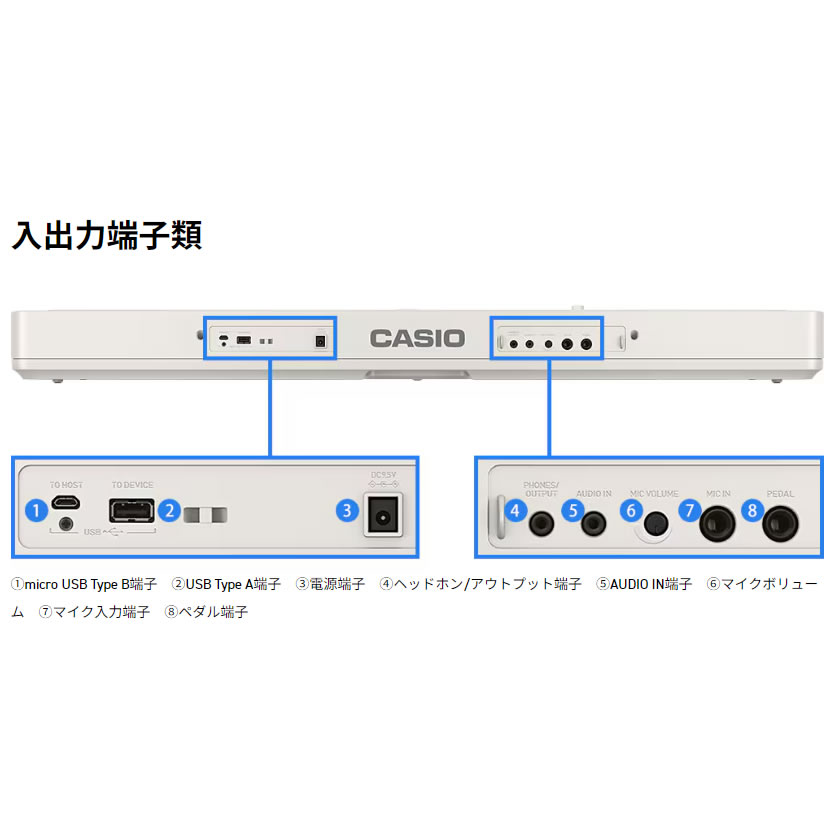 楽天市場】カシオ キーボード 光 ナビ 電子楽器 61鍵盤 脳トレ