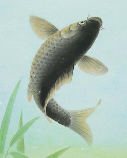 鯉の絵 日本画 額縁付き 鯉の絵 日本画 額縁付き 鯉 日本